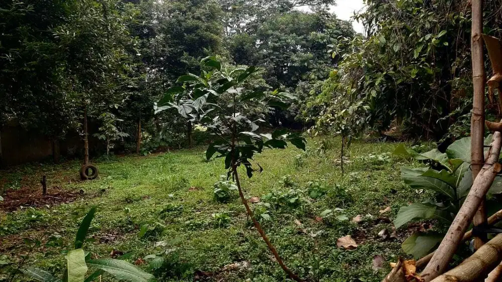 Dijual Tanah Luas di Sarua, Ciputat, cocok untuk Usaha