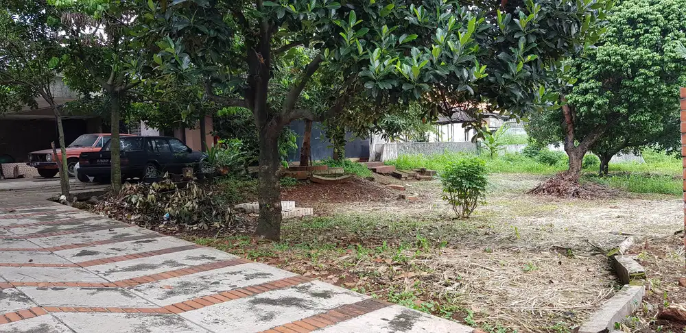 Rumah tua hitung tanah cocok di bangun untuk developer rumah