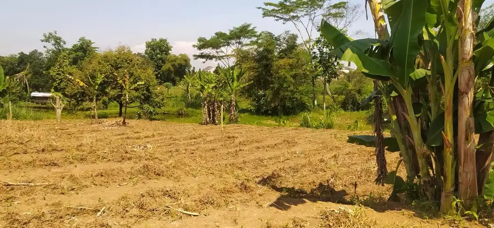 Kavling Murah Siap Bangun di Arcawinangun Purwokerto Timur