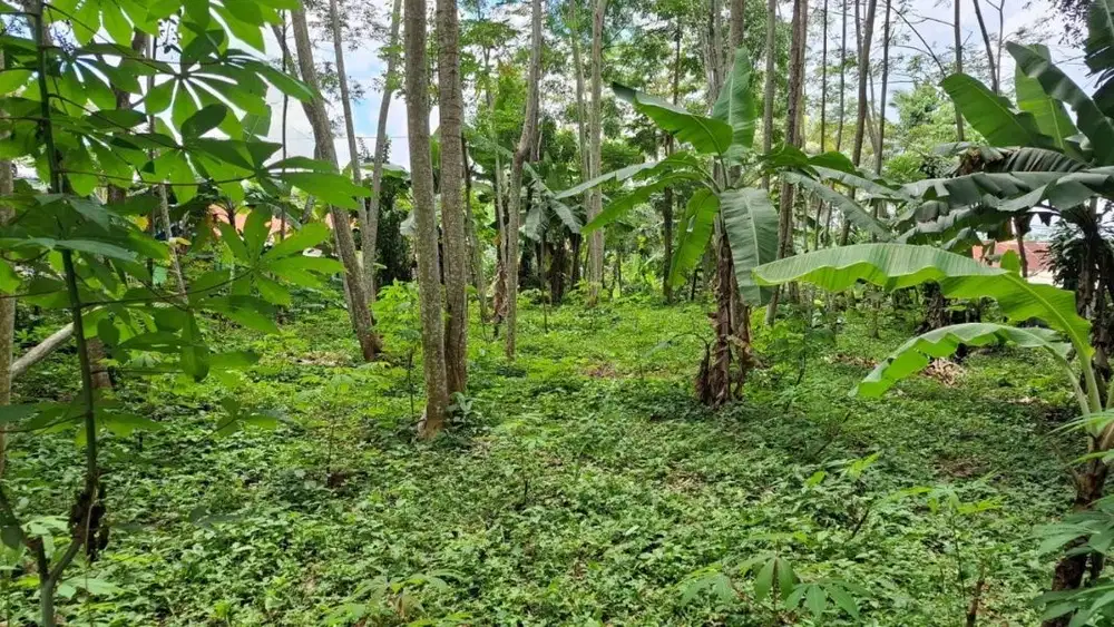 DiJual Tanah, lokasi strategis, pinggir jalan. Bagus untuk buka usaha