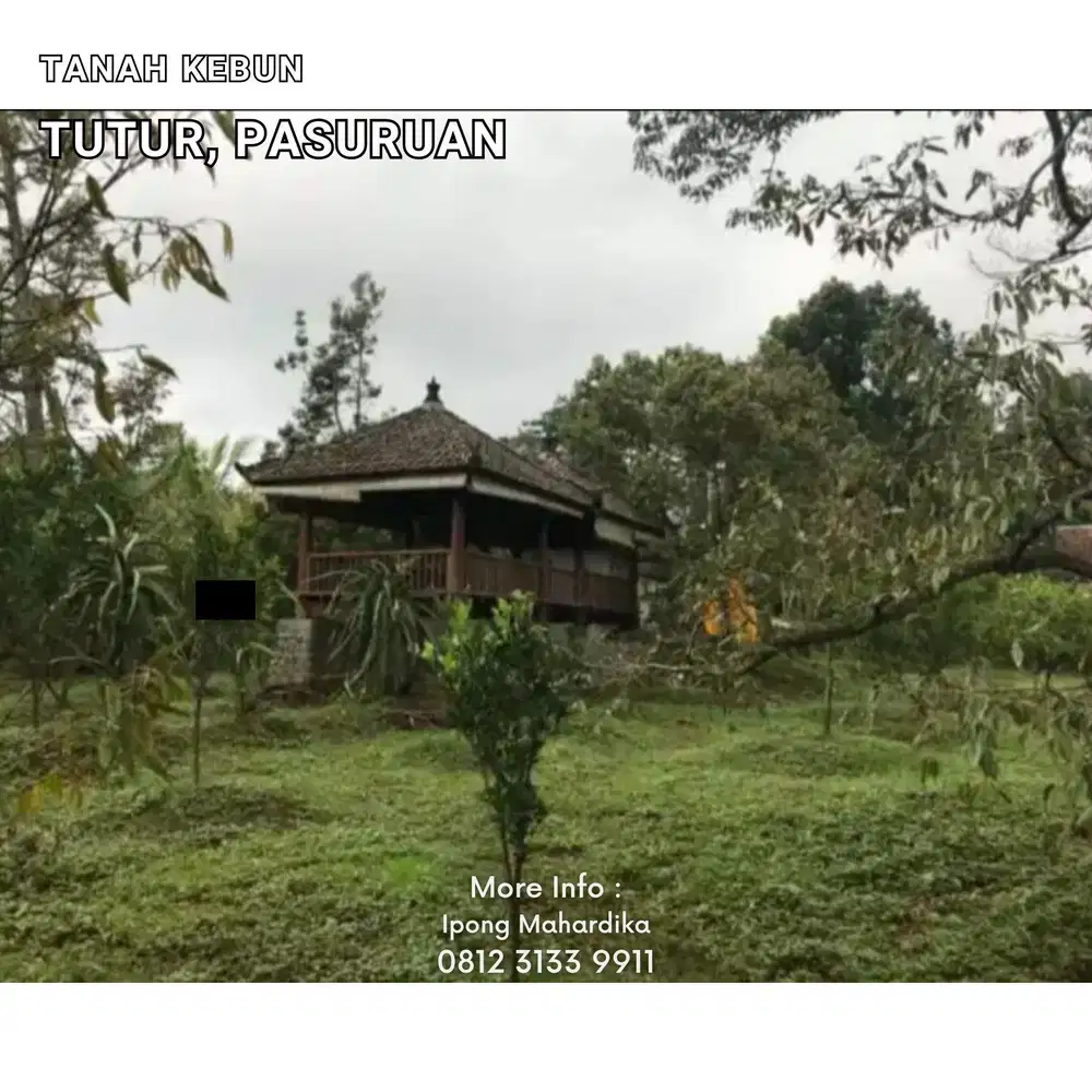 Dijual Tanah Kebun dekat Wisata Bhakti Alam Pasuruan
