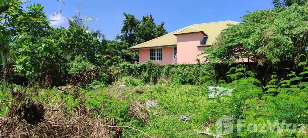 Land for sale in Pererenan, Bali