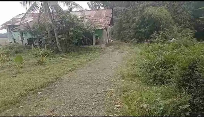 Dijual tanah dan bangunan ex ricemill