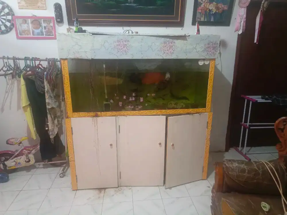 Lemari cabinet aquarium