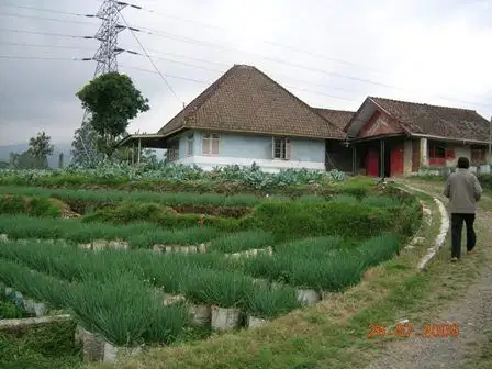 Dijual Tanah didaerah Ciwidey Bandung