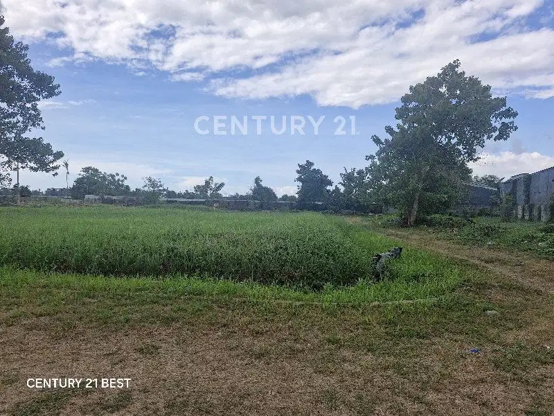 Tanah Siap Bangun Di Cluster Mewah Di Tanjung Bunga Makassar