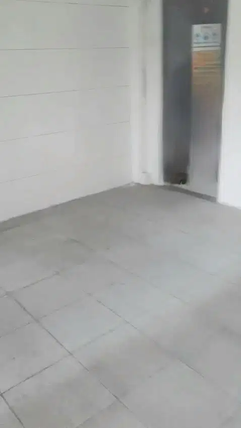 Rumah Kelapa Kopyor Raya, Kelapa Gading
