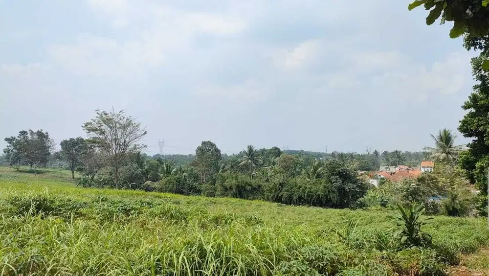 Jual Murah Tanah Komersial Pinggir Jalan Di Raya Parung Bogor