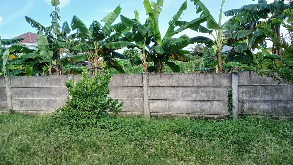 TURUN HARGA TANAH  DI CIRENDEU, Lokasi Bagus, Cocok untuk Cluster