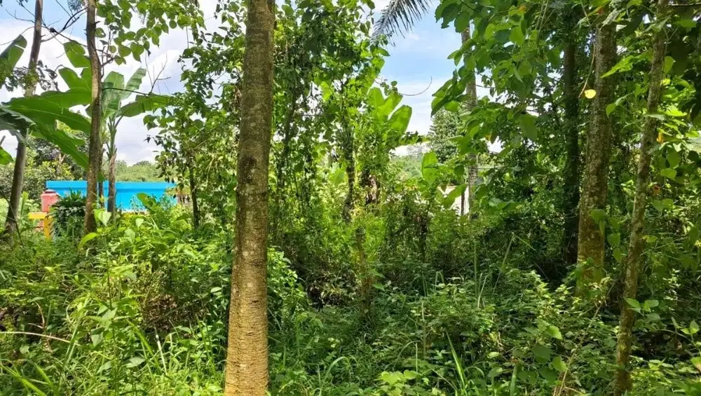 Dijual Lahan di Bandung Barat.Pinggir jalan Cipeundey Cikalong.