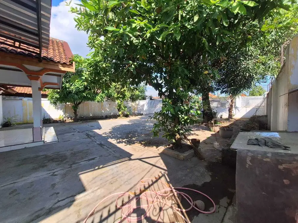 Jual Rumah dan Kontrakan dengan Halaman Luas di Daerah Buyut, Cirebon