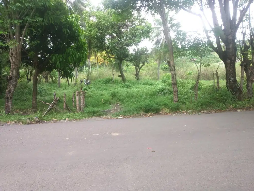 Tanah 5000 m² Cocok Villa / Bisnis Kawasan Wisata Pelabuhan Ratu