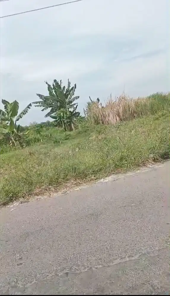 Lahan termurah sukodono zona kuning