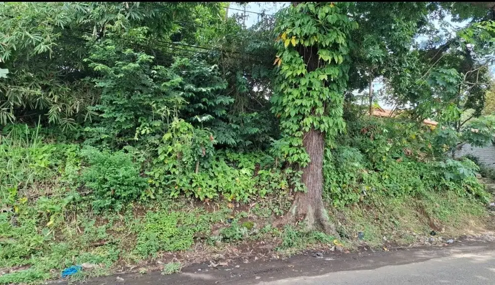 Dijual Lahan di Bandung Barat.Pinggir jalan Cipeundey Cikalong.