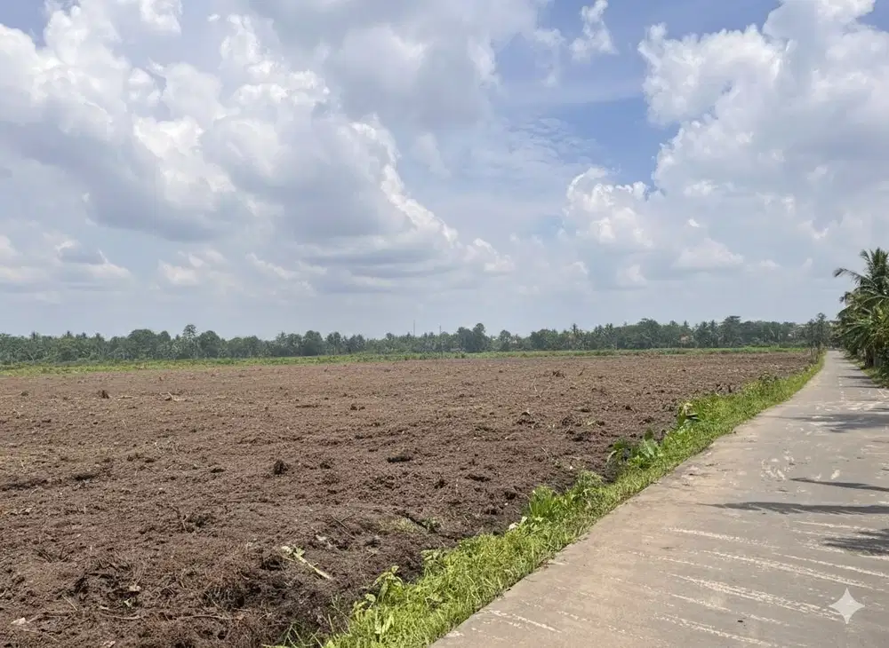 Jual Cepat Tanah Dekat Bandara Kota Jambi