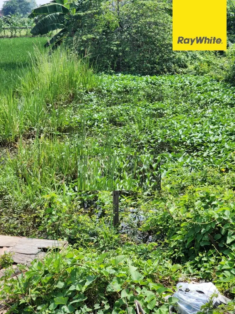 Dijual Murah Tanah di Gurang Kulon Cerme Gresik