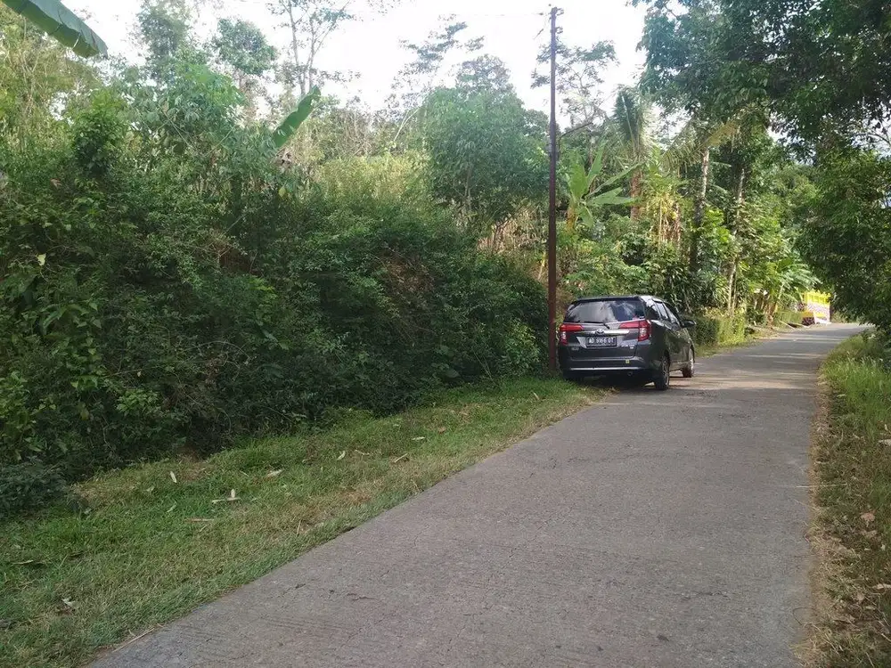 Tanah di Tohkuning Karangpandan barat kebun karet akses simpangan