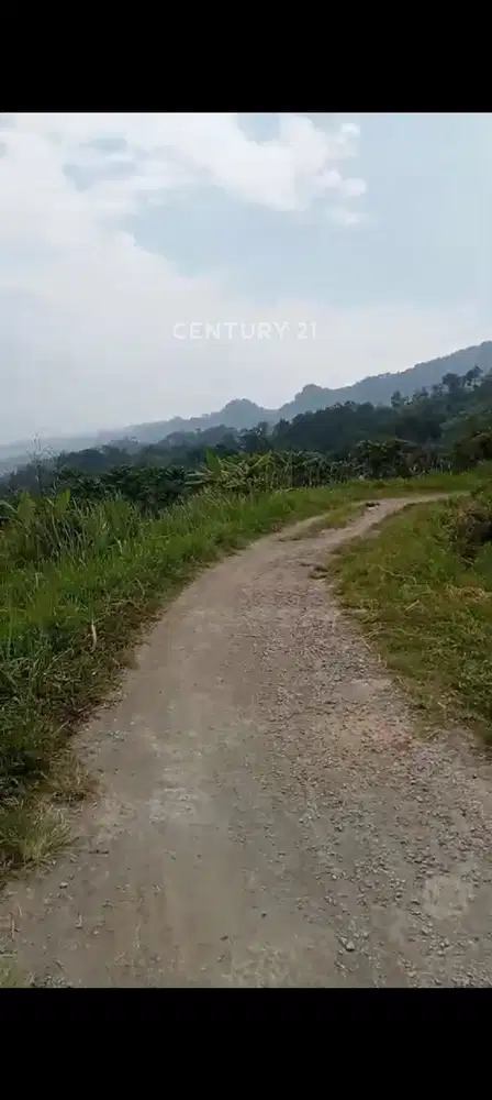 Bogor Pinggir Jalan Desa Pegunungan Sejuk Segar Indah Tanah Sawah
