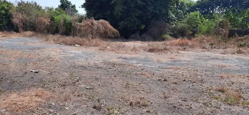 TERMURAH LAHAN  NOL JALAN MASTRIP HANYA 6JT PER METER