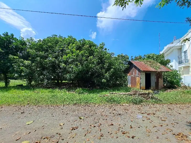 Tanah siap bangun area tanjung bunga dekat sekolah dian harapan