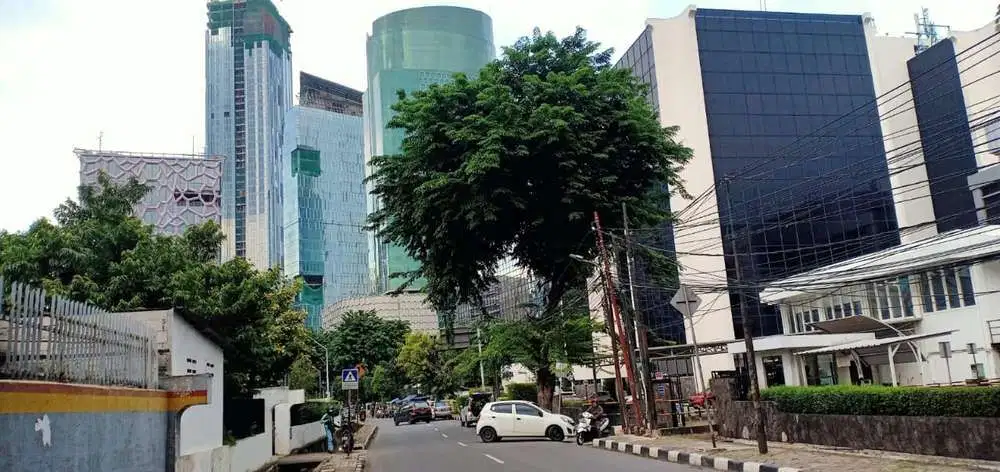 Rumah Asri dan Nyaman di Setia Budi Kuningan Jakarta Selatan