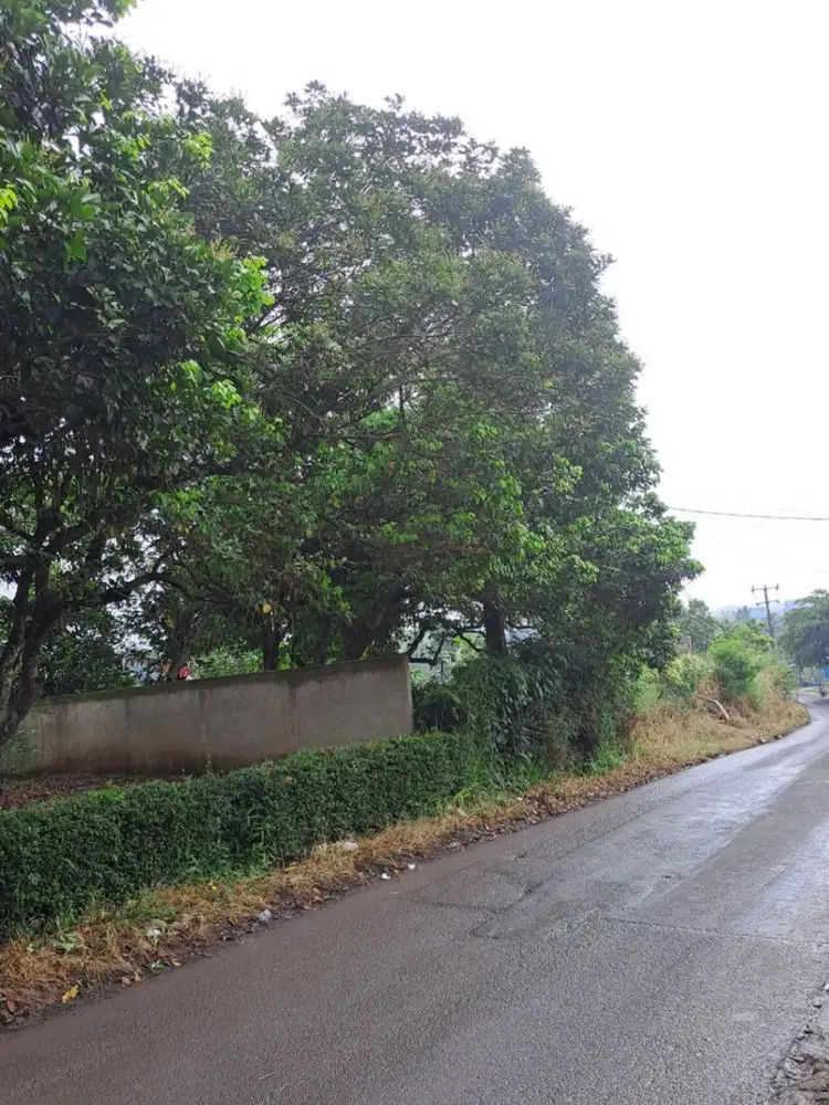 Tanah Akses Jalan 2 Mobil Di Cibungbulan Bogor S6766