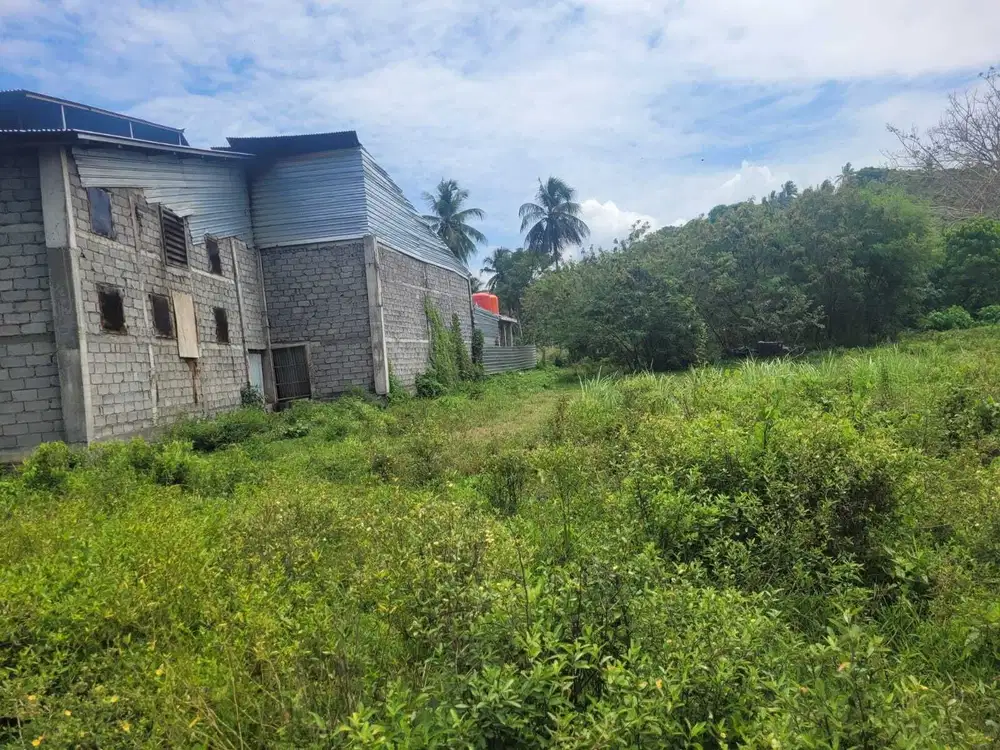 Dijual Tanah Kebun Pimpin Kema 1 Minahasa Utara Sulawesi Utara