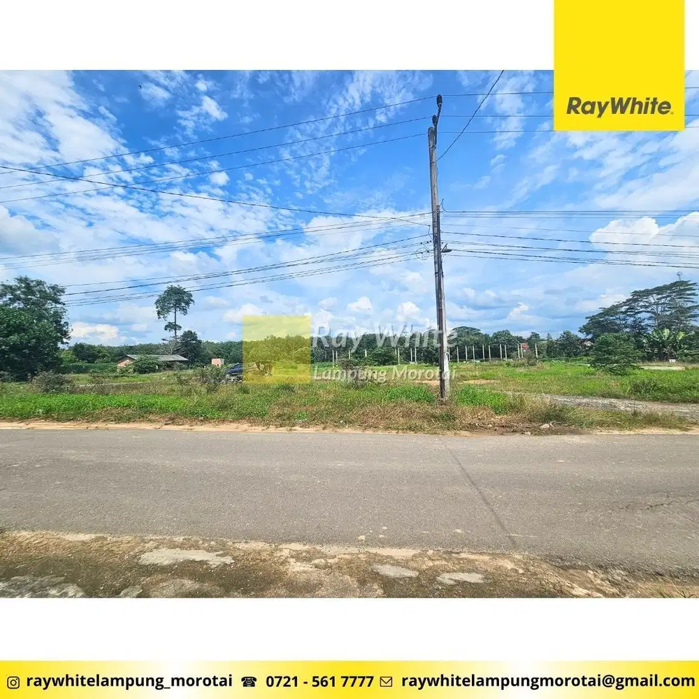 Jual Tanah Lintas Timur Tulang Bawang