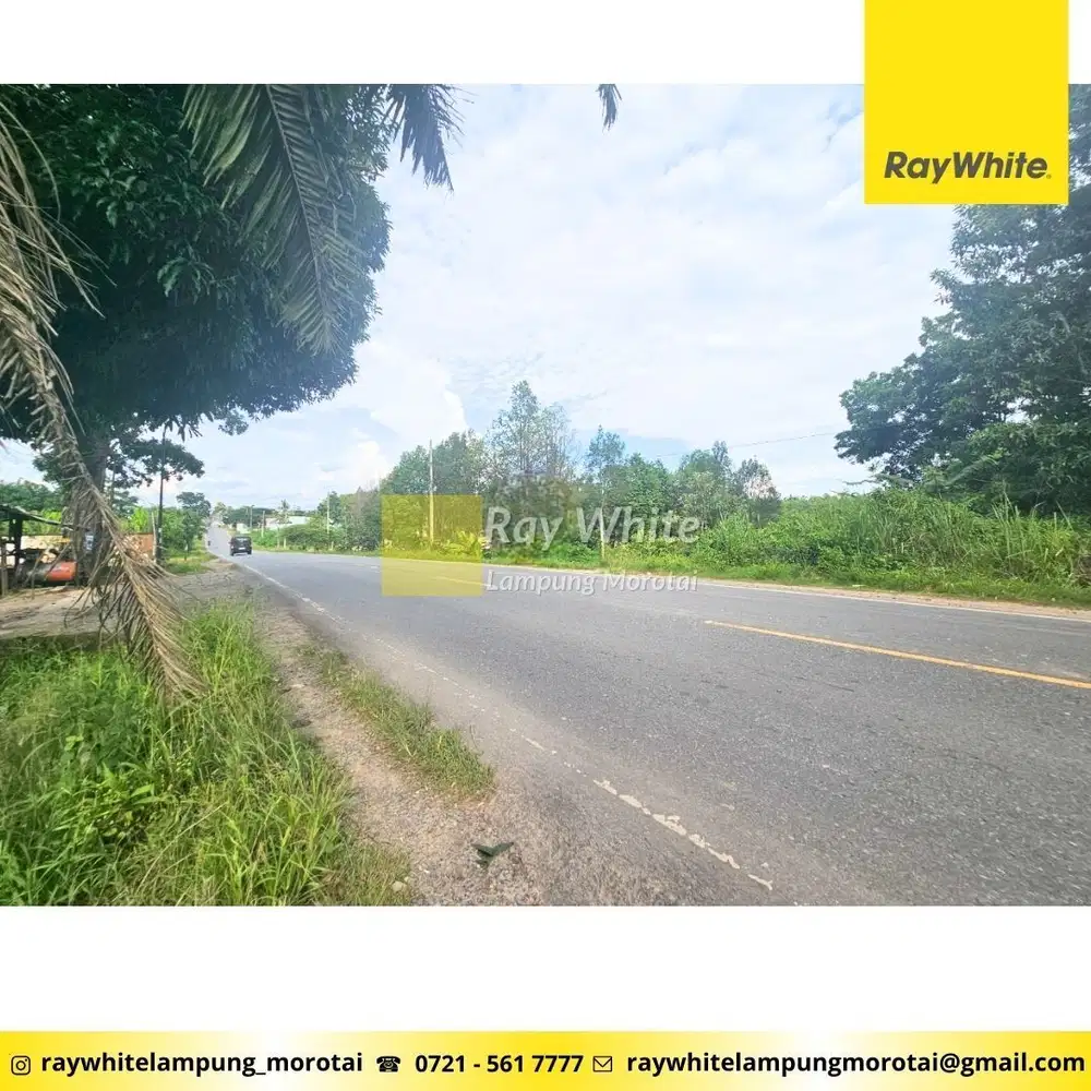 Jual Tanah Lintas Sumatera Tulang Bawang