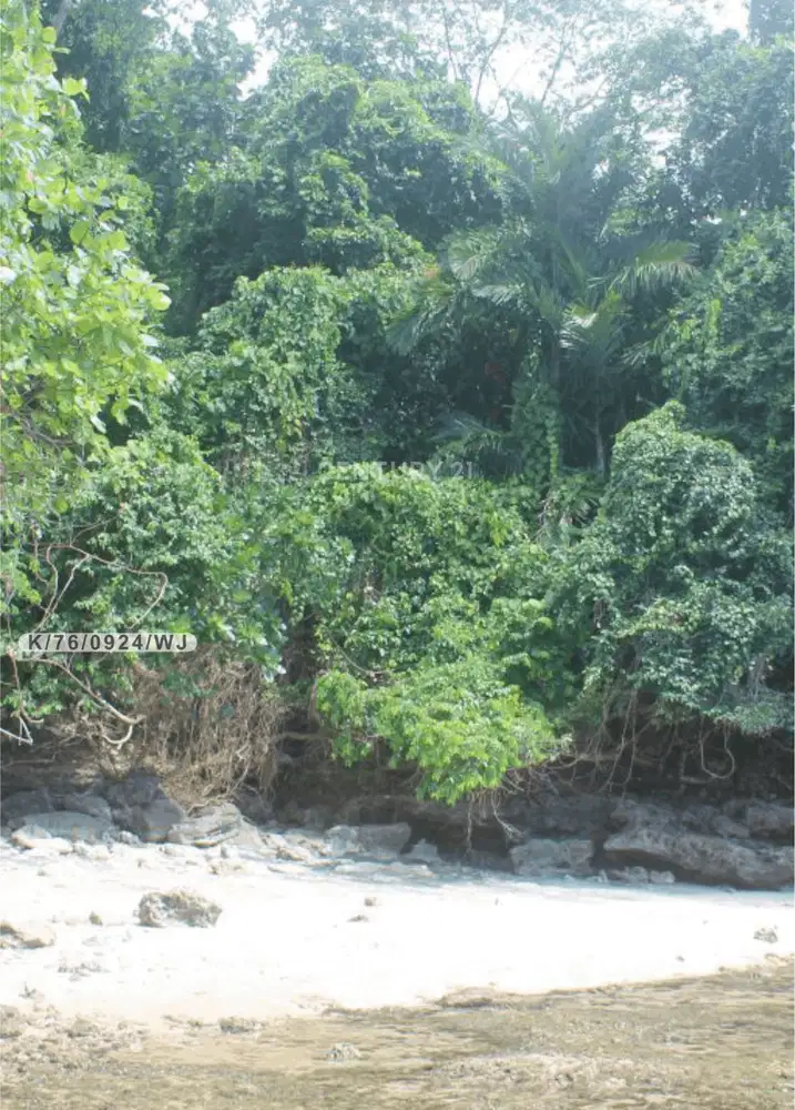 Tanah Di Pulau Bunaken Manado Cocok Untuk Resort