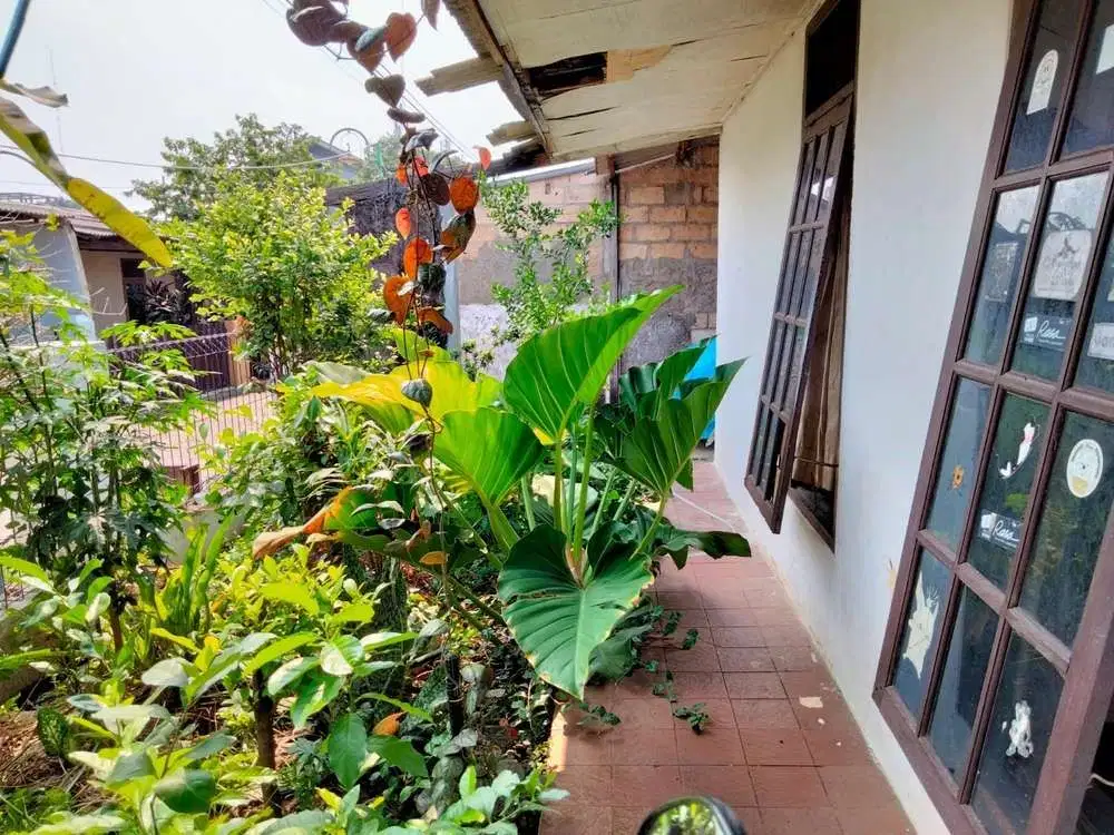 Rumah Asri di Pusat Kota Depok Jawa Barat