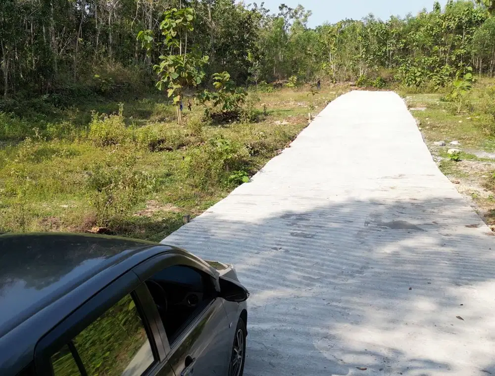 Kavlingan MURAH Jogja, Kulon Progo, Dekat Bandara YIA