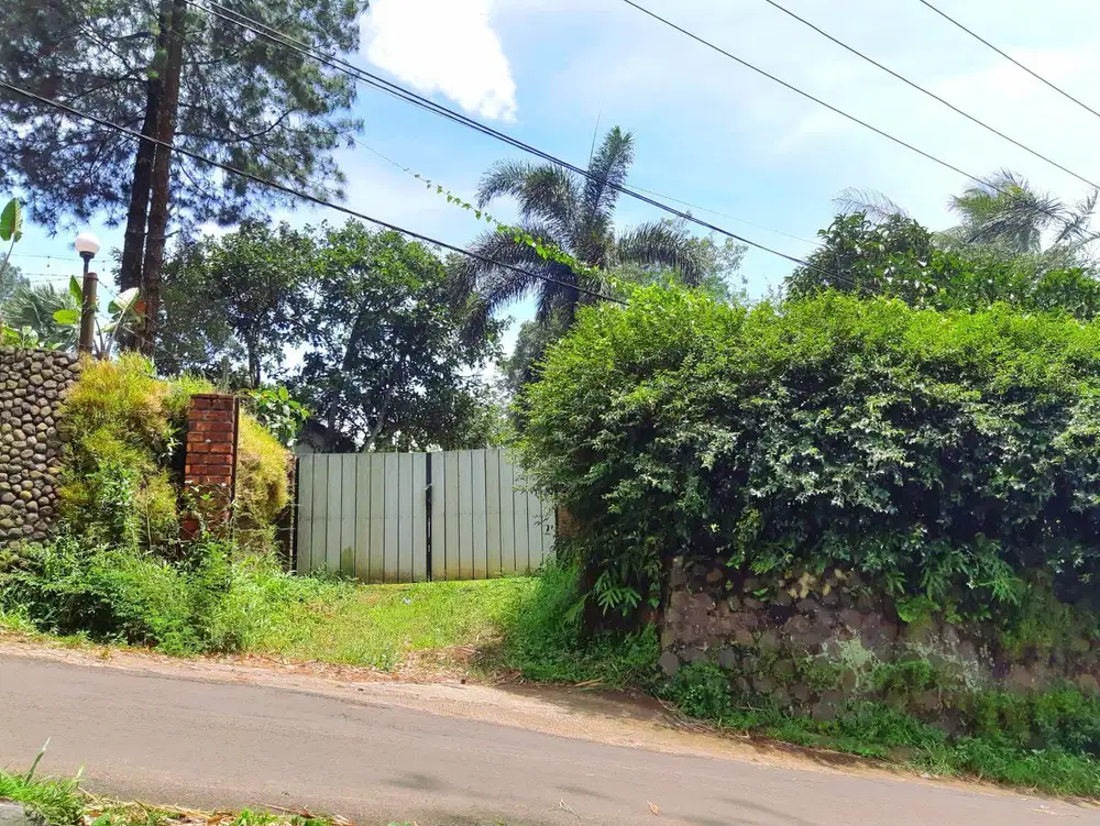 Tanah Kebun di CIJERUK BOGOR Cocok buat Villa, Resto dan BerKebun