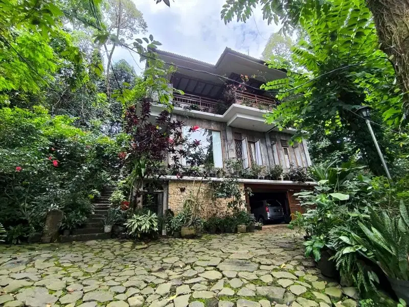 Rumah Villa Bonus Tanaman Langka Dekat Golf Nuansa Alam