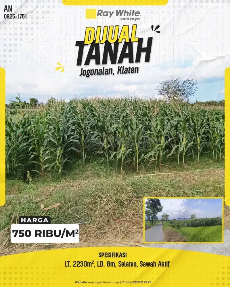 Dijual Tanah Sawah Luas 2230m² di Jogonalan, Klaten