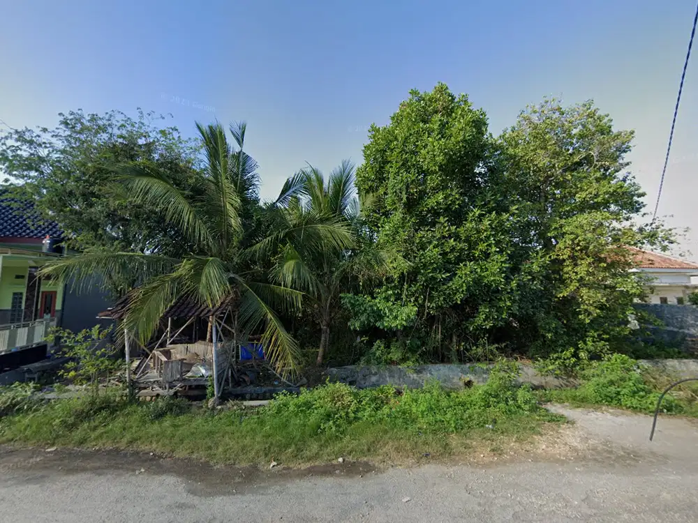 Tanah Subur dan Strategis Dekat Bandara Sumenep