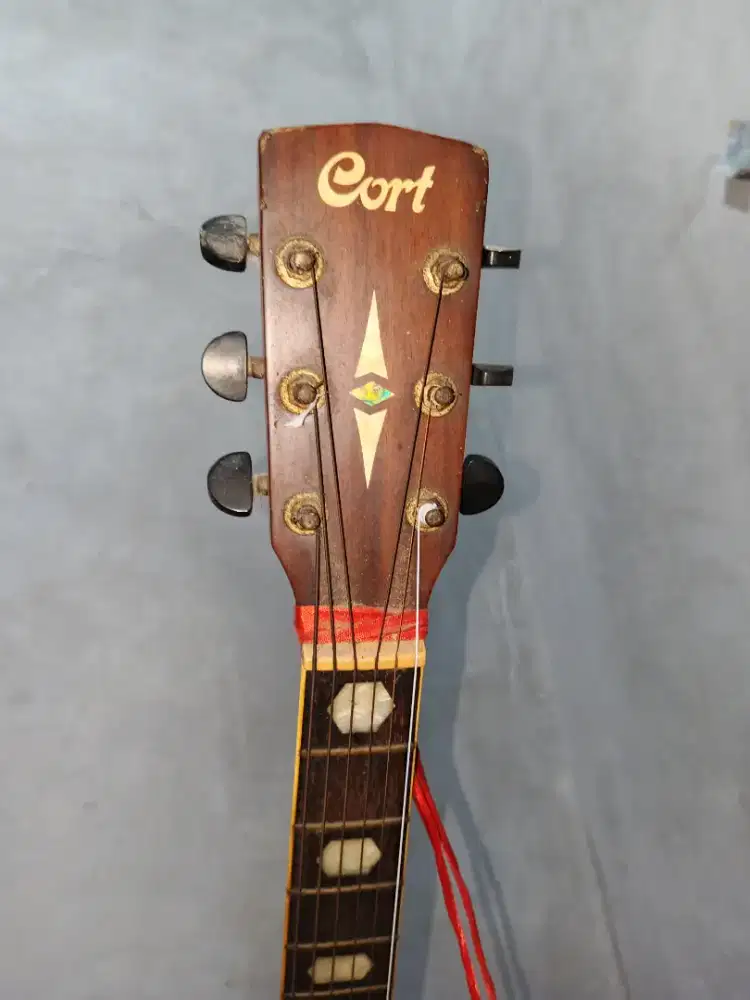 jual gitar cort original