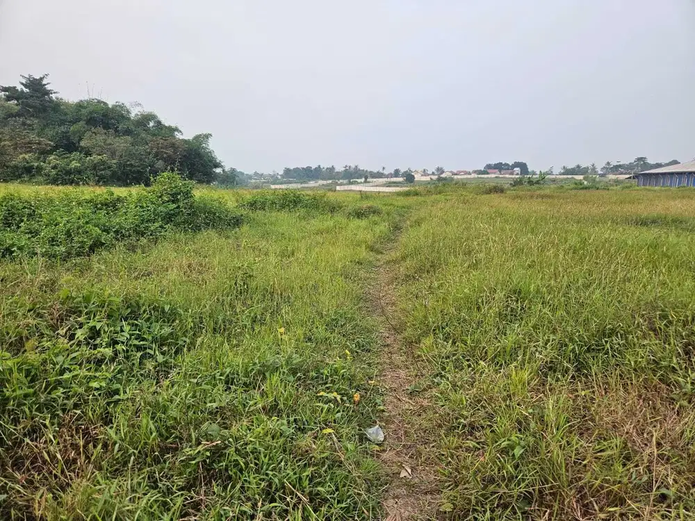 Dijual Tanah Cocok Untuk Gudang dan Pabrik di Rangkasbitung, Banten