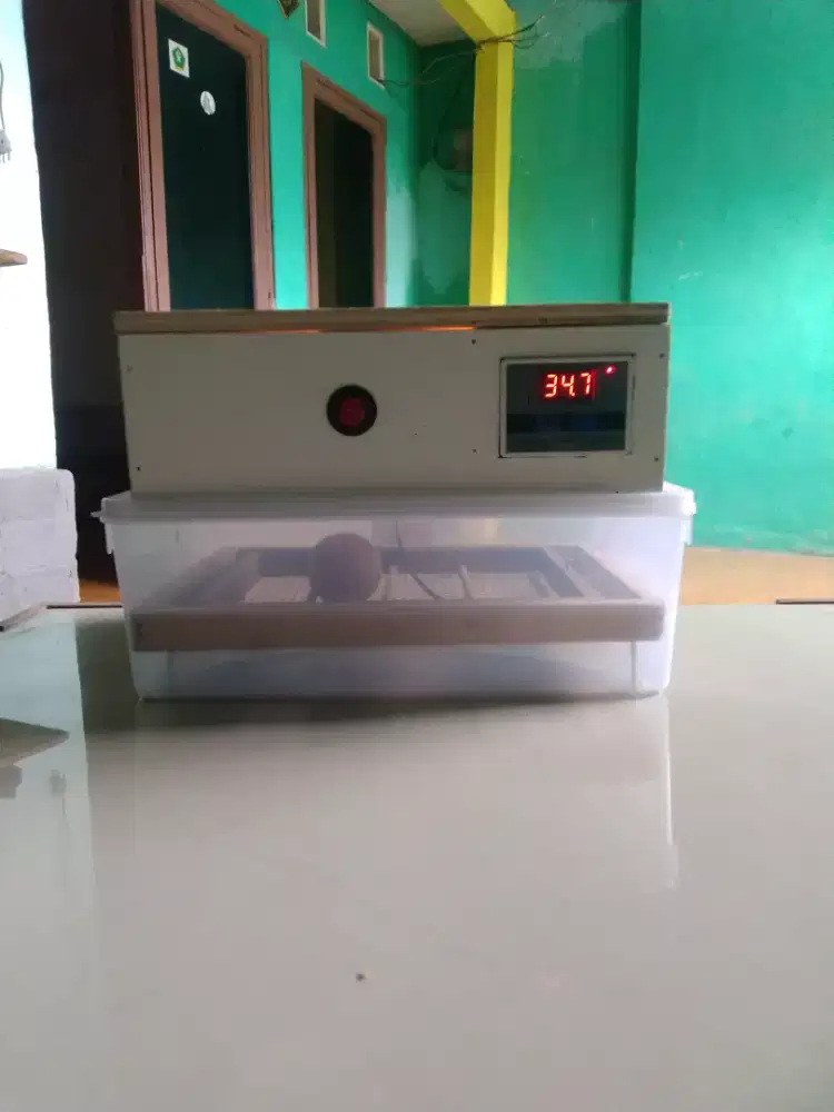 Incubator untuk semua jenis unggas full otomatis.
