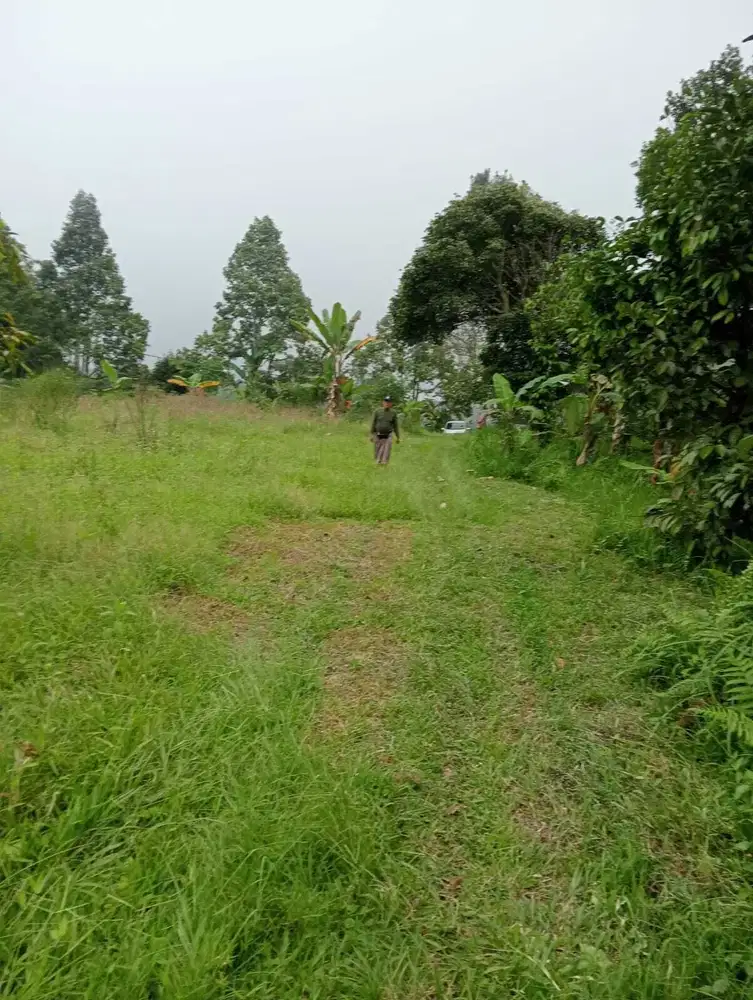 Tanah luas sejuk cocok untuk glamping Baturiti  Tabanan Bali