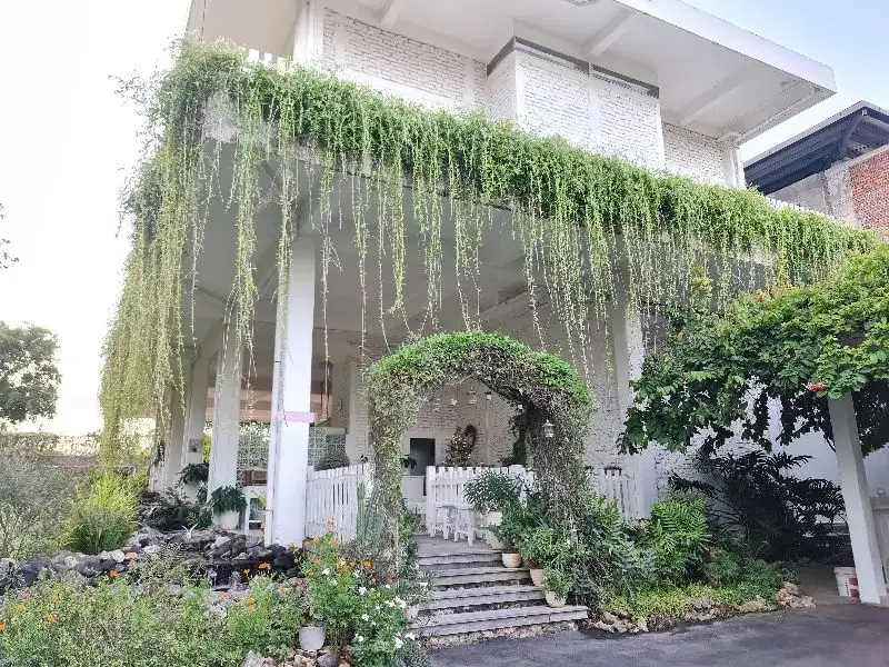 Rumah american tropical dancing garden Sawangan nusa dua bali