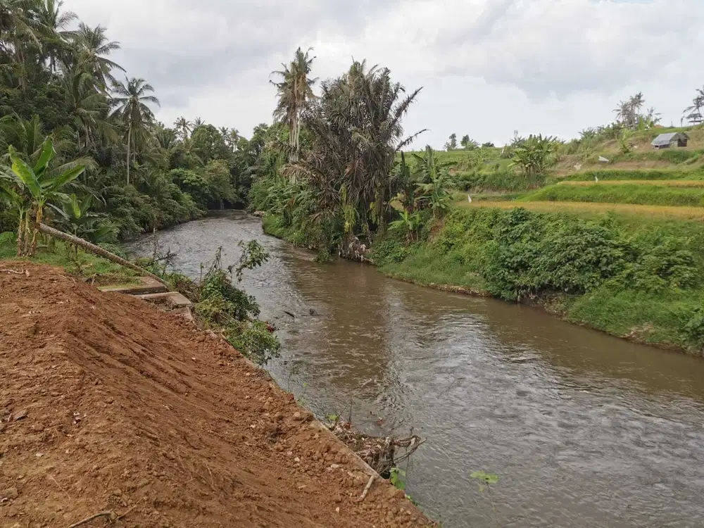 Tanah kavling strategis view sawah dan sungai Pantai Saba Gianyar Bali