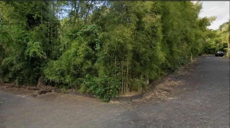 Tanah cocok untuk villa taman kebo iwa mumbul Jimbaran Bali