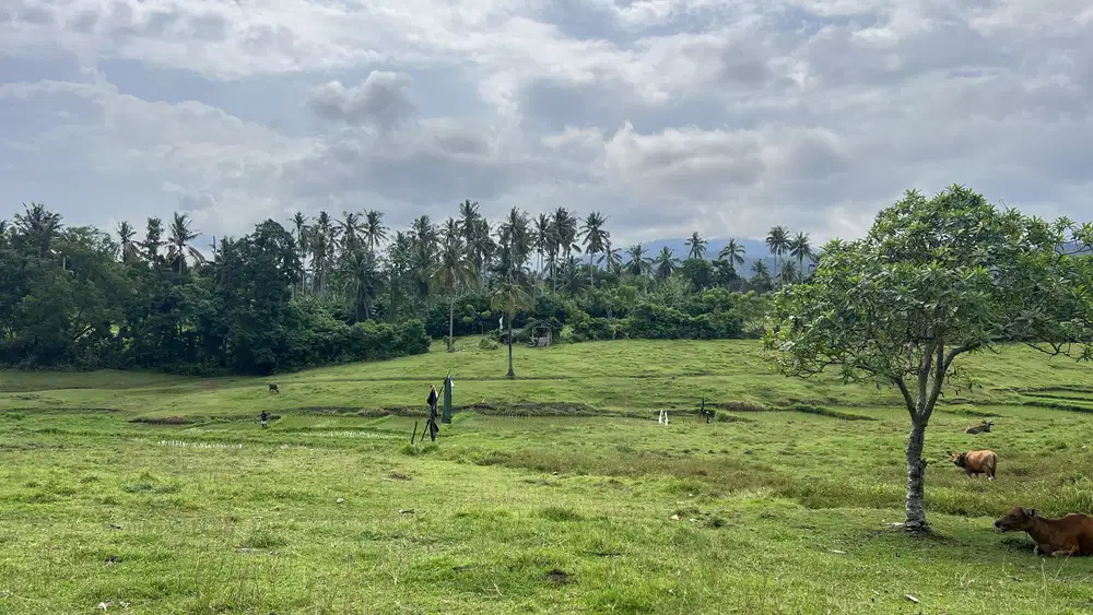 Tanah strategis itr pariwisata Batu Mejan Balian Beach tabanan bali
