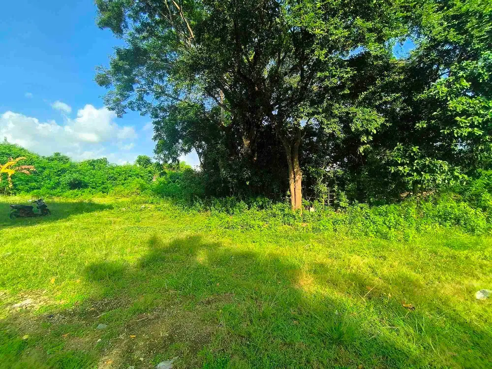 Tanah Leasehold 25 tahun zona pemukiman taman mumbul nusa dua Bali