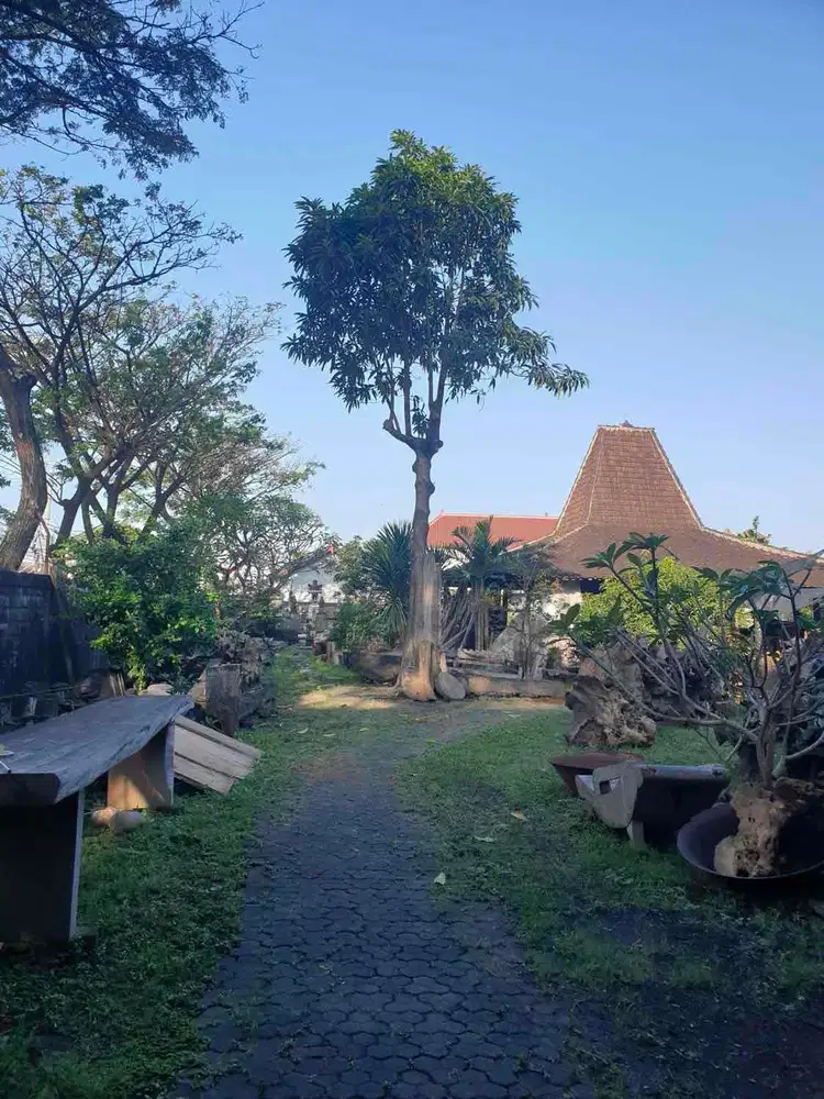 Ruko Strategis Jejer Merdeka Kuta Bali