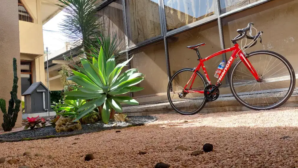 Sepeda Roadbike Bianchi Nirone 7 crc