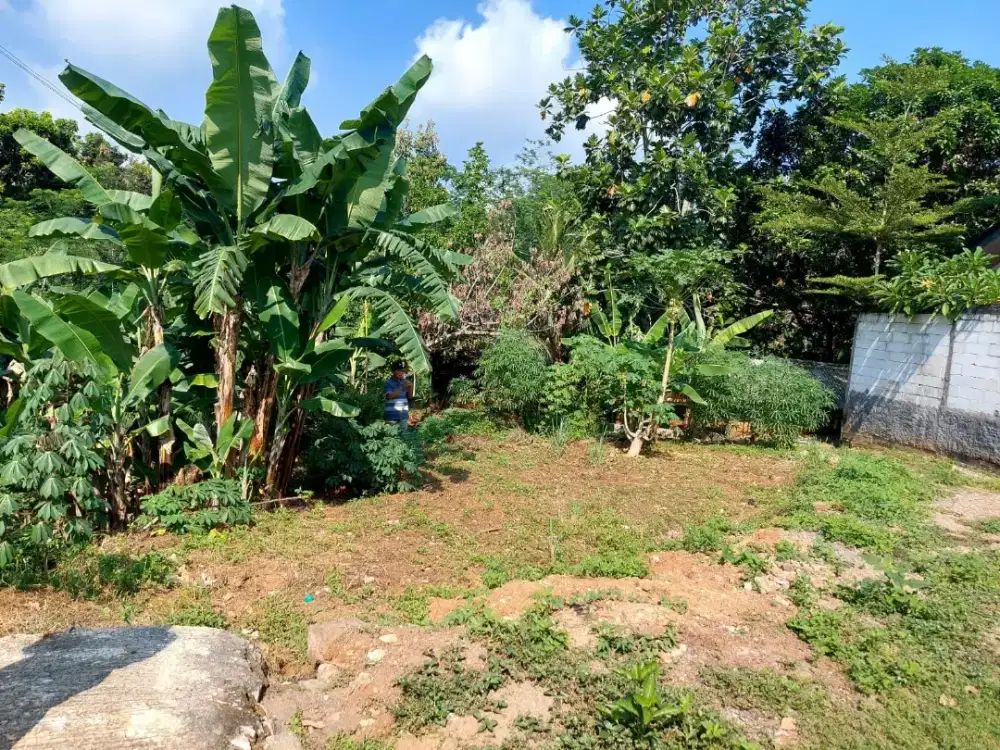 Murah dijual tanah bonus bangunan tua mulawarman cocok untuk kos undip