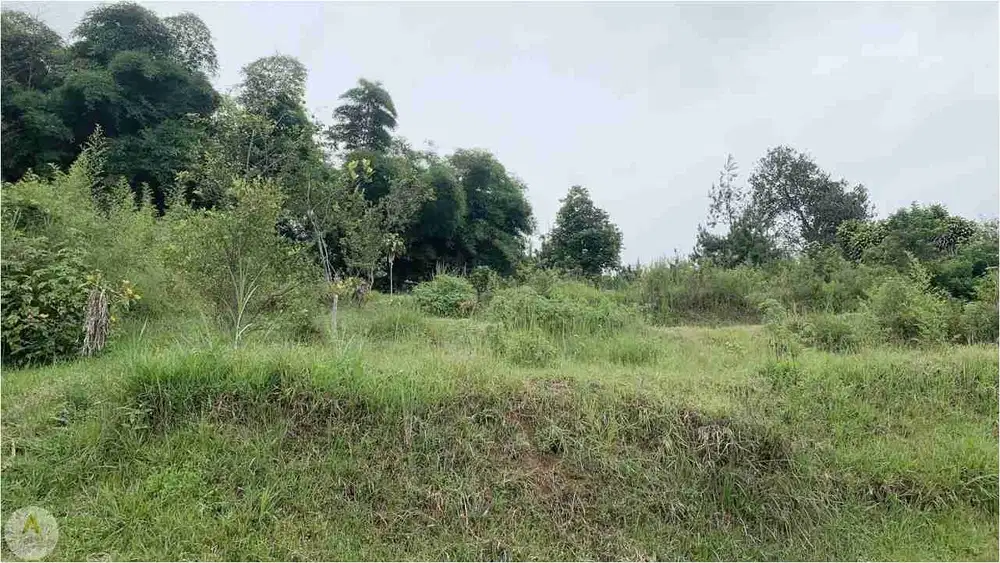 Jual Tanah Cocok Untuk Villa di Lembang