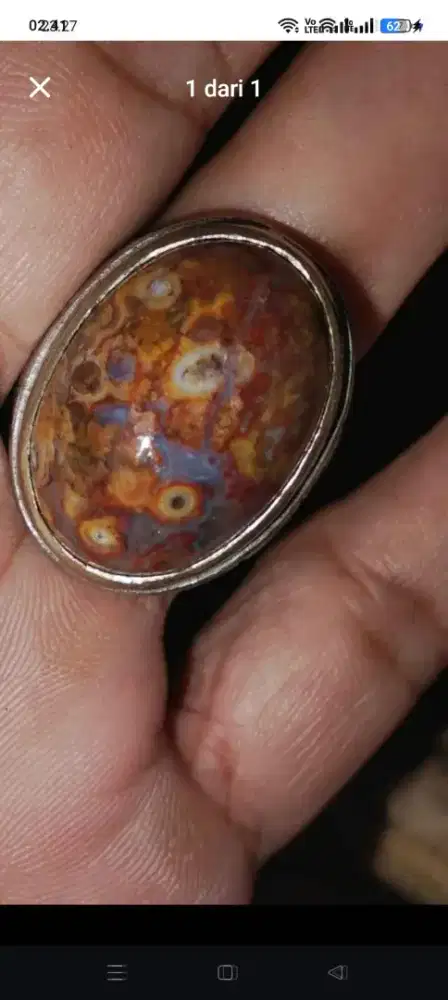 Natural Batu SARANG TAWON